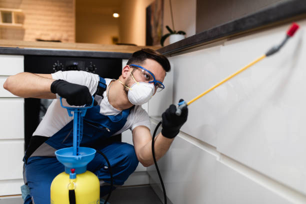 Best Rat Extermination Near Me  in Keystone Heights, FL