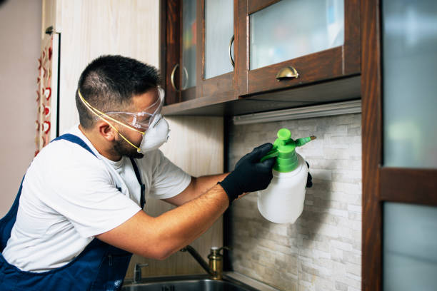 Best Residential Pest Control  in Keystone Heights, FL