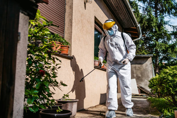 Best Best Pest Control Companies  in Keystone Heights, FL