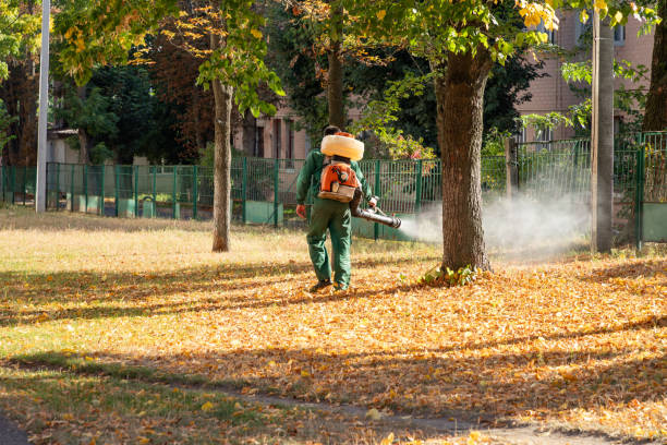 Best Pest Prevention Services  in Keystone Heights, FL