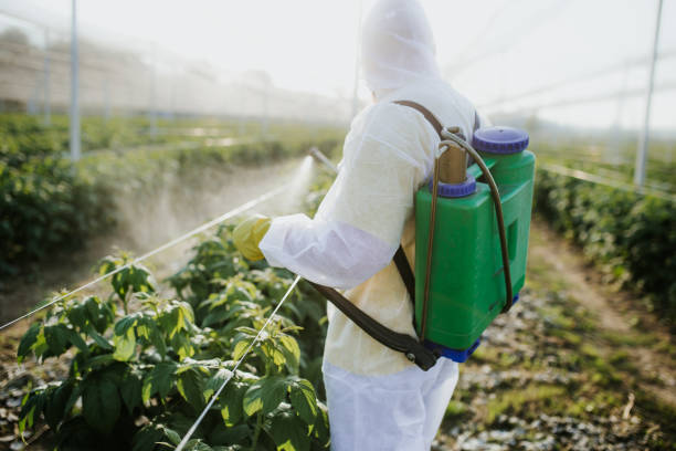 Pest Prevention Services in Keystone Heights, FL